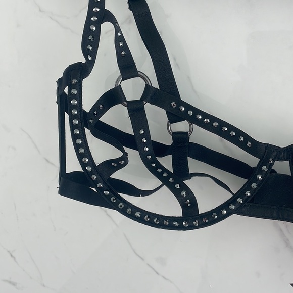 Victoria Secret Swarovski Lingerie - Picture 2 of 11